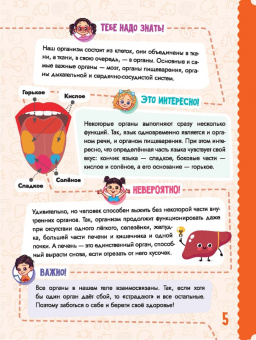 Попова, Пирожник: Тело человека
