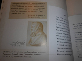 Пушкин, Рожников: Евгений Онегин. Подробный иллюстрированный комментарий