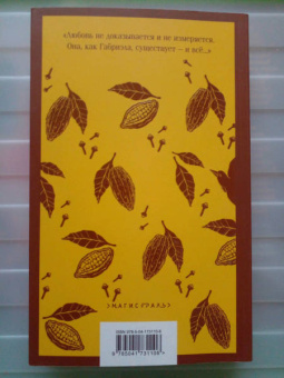 Жоржи Амаду: Габриэла, гвоздика и корица