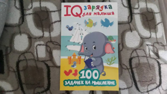 Валентина Дмитриева: 100 задачек на внимание