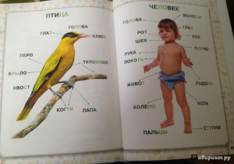 Лена Данилова: Учимся читать по складам. Для 3-5 лет