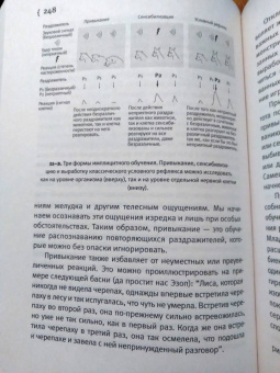 Эрик Кандель: В поисках памяти