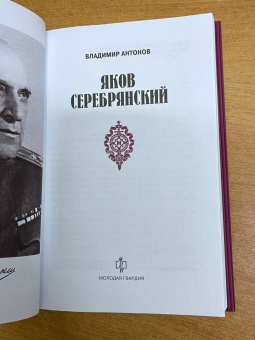 Владимир Антонов: Яков Серебрянский