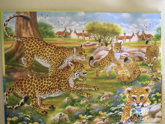 Первая энциклопедия дошкольника. Животные мира