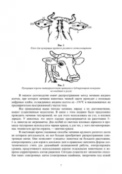 Должанов, Медведев, Волгина: Инновационные технологии в высокопродуктивном молочном скотоводстве. Учебное пособие для вузов