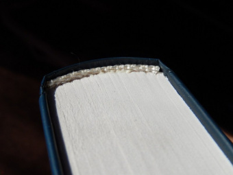 Мария Хэдли: Магония