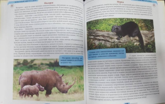 Людмила Соколова: Животный мир от А до Я