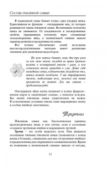 Пчеловодство для всех. Как перестать покупать мед