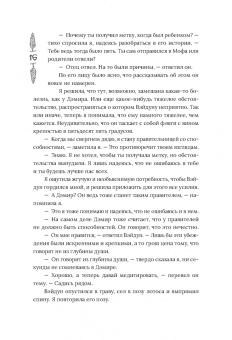 Леа Рейн: Гора духов. Книга 2. Грандмастер Горы духов