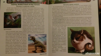 Мария Куруськина: Хочу знать. Загадки и тайны