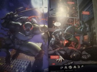 Валтс, Линч, Бернем: Подростки Мутанты Ниндзя Черепашки. Герои