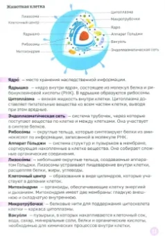 Биология для детей