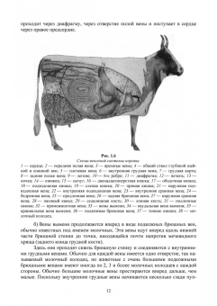 Федотов, Авдеенко, Белозерцева: Ветеринарная маммология. Учебник
