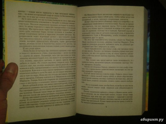 Алексей Пехов: Вьюга теней
