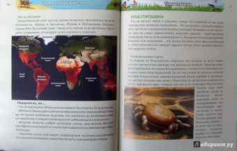 Ольга Тяжлова: Удивительные животные