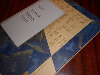 Пушкин, Рожников: Евгений Онегин. Подробный иллюстрированный комментарий