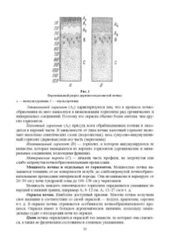 Гаспарян, Трухачев, Сычев: Основы агрономии. Учебник для СПО