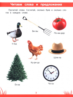 Этери Заболотная: Книга знаний дошкольника. 6-7 лет. Память, внимание и многое другое
