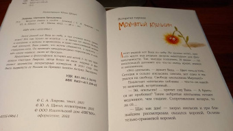 Светлана Лаврова: Встречи рыжих в полёте