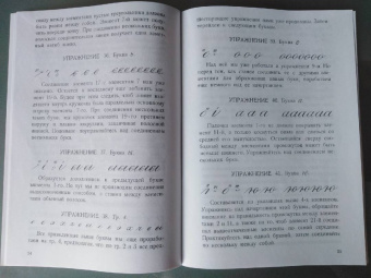 Д. Писаревский: Почерк. Каллиграфия. 113 практических упражнений