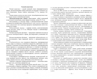 Шлыков, Сычева, Омаров: Основы рационального питания. Учебное пособие для СПО