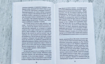 Эми Мейерсон: Несовершенства