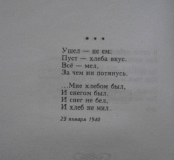 Марина Цветаева: Попытка ревности