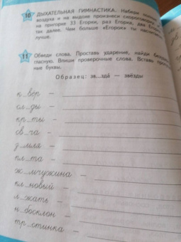 Александра Соболева: Учимся писать грамотно. Профилактика дисграфии