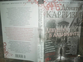 Донато Карризи: Девушка в лабиринте
