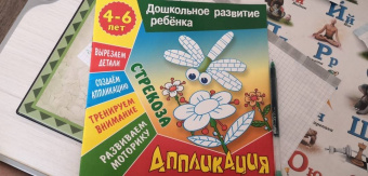 Даниил Колодинский: Аппликация:  Стрекоза. Учебно-развивающее издание