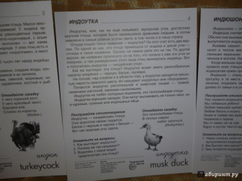 Т. Шорыгина: Демонстрационные картинки "Птицы домашние и декоративные" (16 картинок)