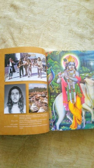 Радханатха Свами: Путешествие домой. Автобиография американского йога