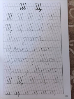 Елена Бортникова: Учимся писать красиво (для детей 6-7 лет). Часть 2