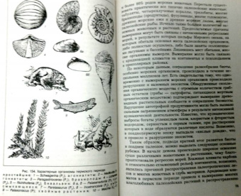 Савельева, Козаренко: Геология. Методы реконструкции прошлого Земли. Основы геотектоники. Геологическая история. Часть 2