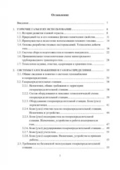 Елена Стасева: Безопасность труда в газовом хозяйстве. Учебное пособие