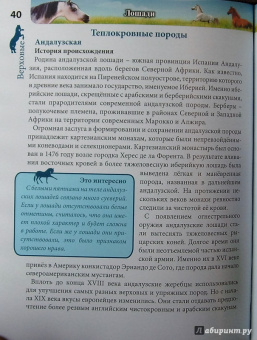 Леся Калугина: Хочу знать. Лошади