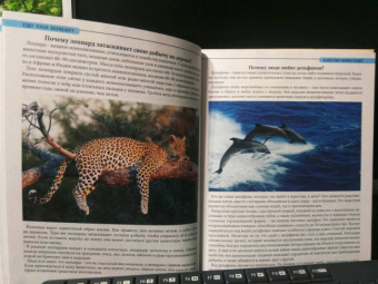 Людмила Соколова: Что? Где? Почему?