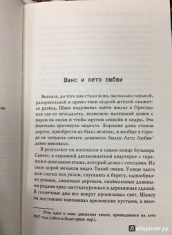 Кем Нанн: Доктор Шанс