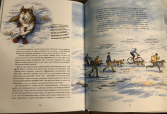 Савва Сафонов: Ездовые собаки. Великий транспорт Севера