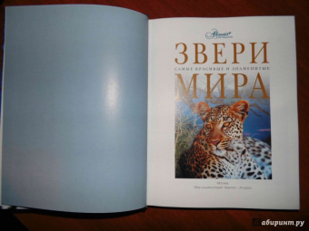 Звери мира