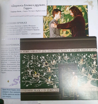 Гарри Поттер. Друзья и враги. Путеводитель по персонажам магической вселенной