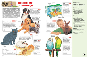 Гиффорд, Варлей, Мейсон: Интерактивная энциклопедия для школьников