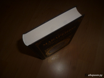 Антон Макаренко: Педагогическая поэма