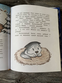 Вероника Медведева: Сказки на сонные глазки. Волшебные сны с малышом Лаки