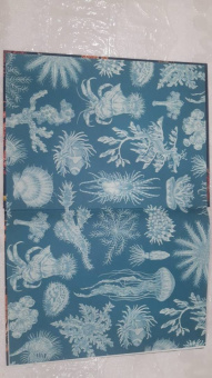 Лавдэй Триник: Океанариум