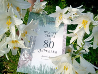 Джонатан Дрори: Вокруг света за 80 деревьев
