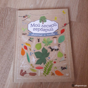 Анна Томас-Белли: Мой лесной гербарий