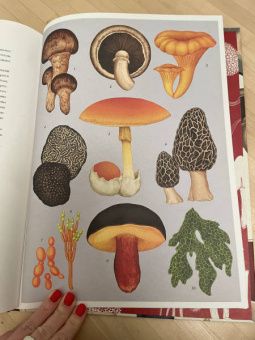 Гайя, Прескотт, Ли: Грибы