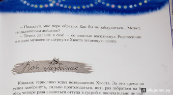 Ольга Фадеева: КотоФеи и новогоднее чудо
