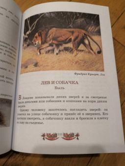 Лев Толстой: Русская книга для чтения